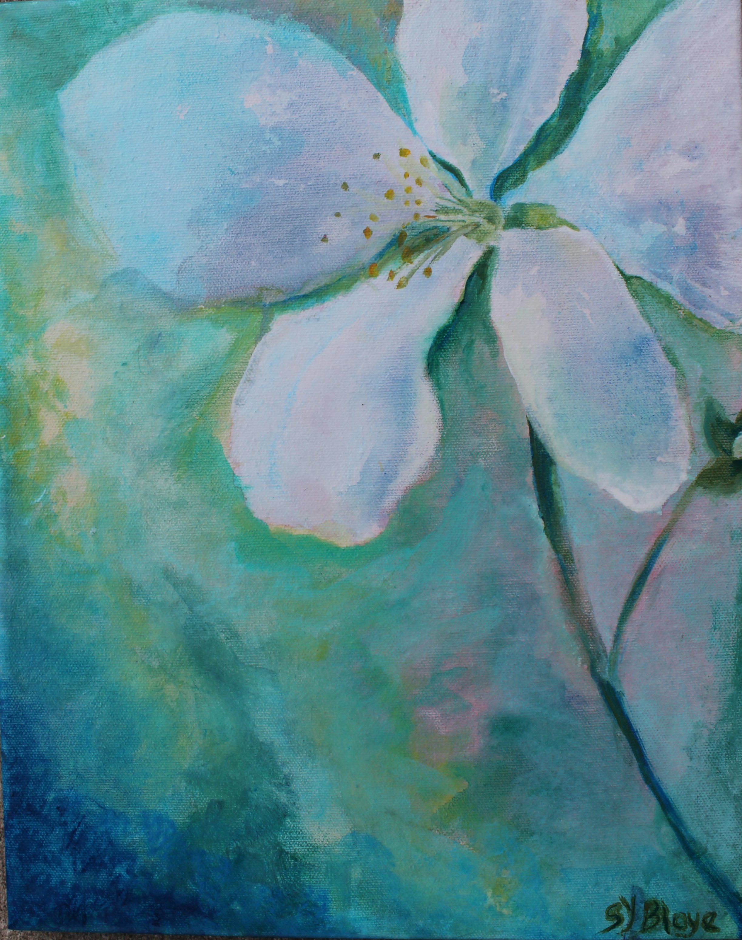 Spring Apple Blossom